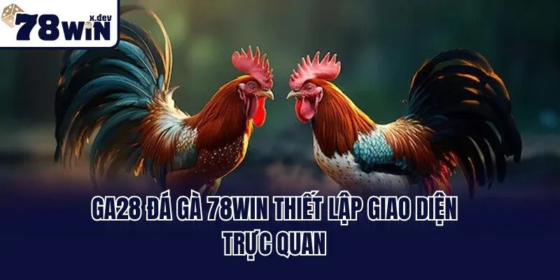 GA28 đá gà 78win thiết lập giao diện trực quan