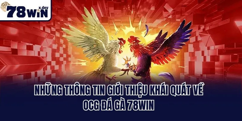 Những thông tin giới thiệu khái quát về OCG đá gà 78win